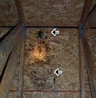 roofleak3.jpg